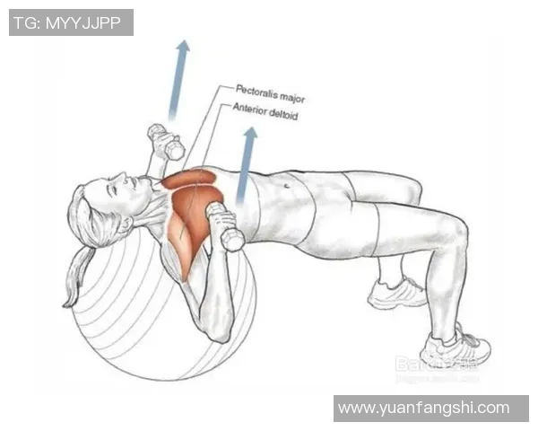 姚明的足弓舟骨结构与篮球运动表现的关系探讨与分析