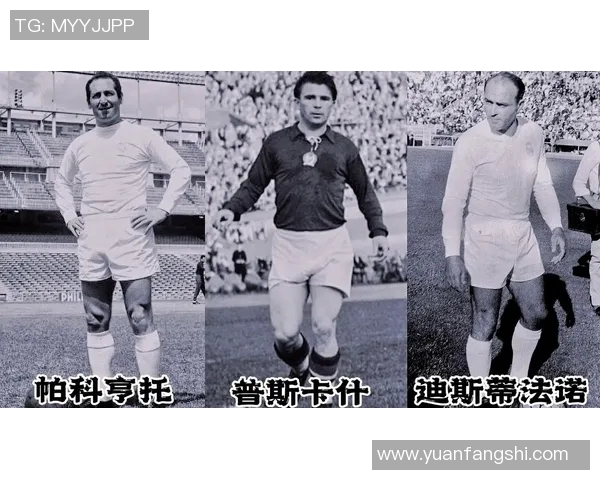 法国足球明星在抖音的精彩瞬间与幕后故事大揭秘