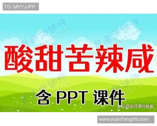 体育锻炼中的酸甜苦辣体验与成长之路探讨
